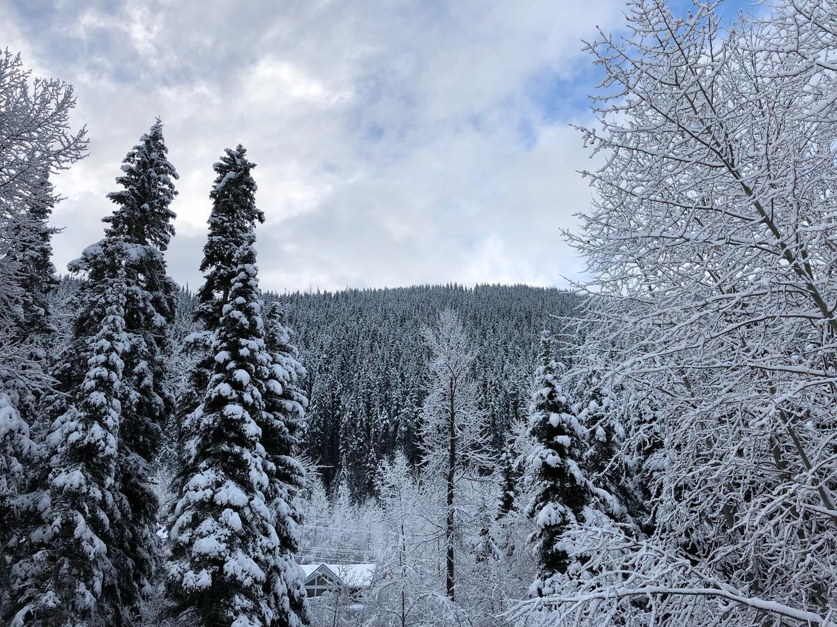 The Burfield Hotell Sun Peaks Exteriör bild