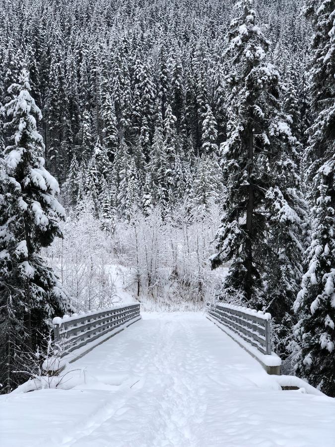 The Burfield Hotell Sun Peaks Exteriör bild